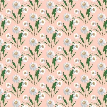 Pattern of bouquets of daisies on a delicate peach background. Stock Illustration