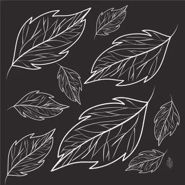 Pattern of branch and leaf icon イラスト素材