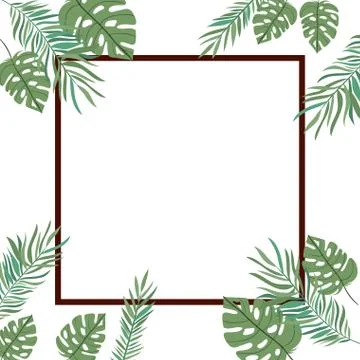 Pattern of branch with leaf of summer in white background Stock Illustration