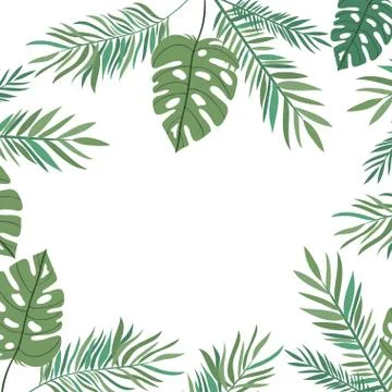Pattern of branch with leaf of summer in white background Stock Illustration
