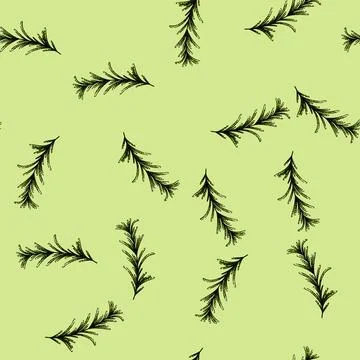 Pattern branch rosemary sketch hand drawn Stock Illustration
