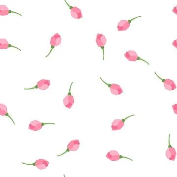 Pattern branch sakura cherry blossom cartoon vector Stock Illustration