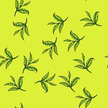 Pattern branch tea leaf sketch hand drawn イラスト素材
