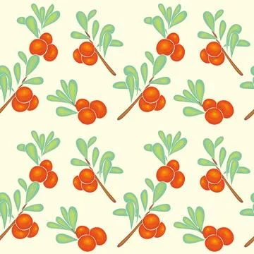 Pattern with branches and berries of cranberries, lingonberries, hand drawing Stock Illustration