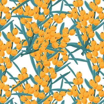 Pattern with branches and berries of sea buckthorn Stock Illustration