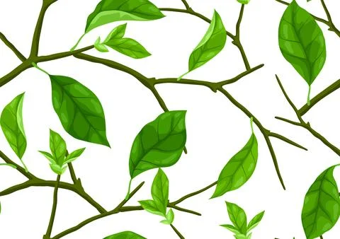 Pattern with branches and leaves. Spring or summer stylized foliage. Illustrazione stock