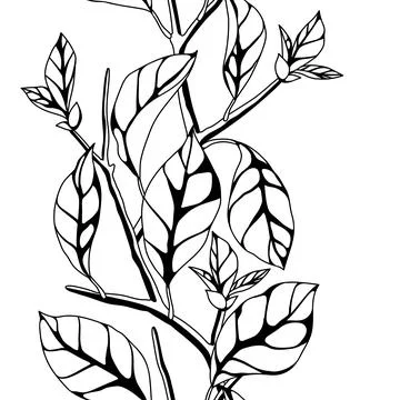 Pattern with branches and leaves. Spring or summer stylized foliage. Stock Illustration