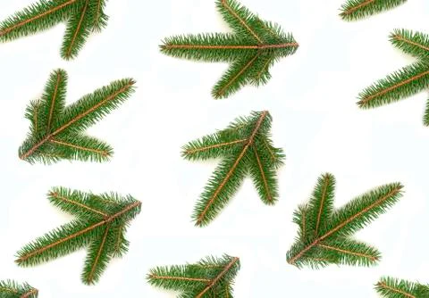 Pattern of branches of Christmas tree isolated on white background Stock Photos