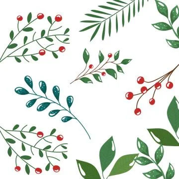 Pattern of branches with leafs and seeds Stock Illustration