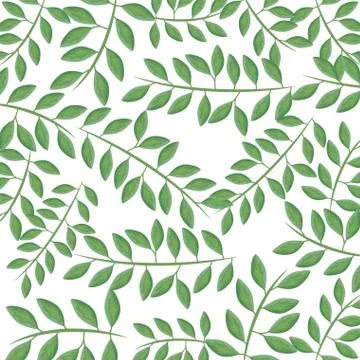 Pattern of branches with leafs natural Stock Illustration