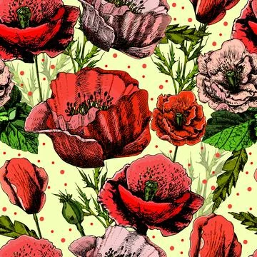 Pattern with bright colorful poppies 스톡 일러스트