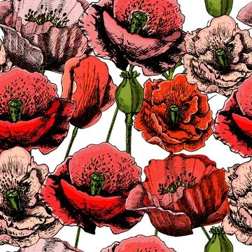 Pattern with bright colorful poppies Stock Illustration