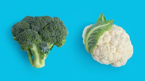 Pattern with broccoli on a blue background Stock Photos