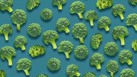Pattern broccoli on blue background Vegan food Food Green food Vegetarian  イラスト素材