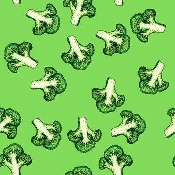 Pattern broccoli cut sketch hand drawn illustration Stock Illustration