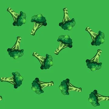 Pattern broccoli fresh sketch hand drawn illustration Stock Illustration