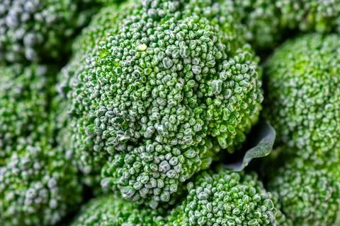 Pattern of broccoli. Macro photo green broccoli texture. Fresh green brocco.. Stock Photos