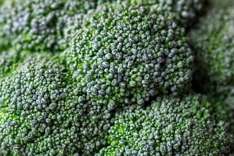 Pattern of broccoli. Macro photo green broccoli texture. Fresh green brocco.. Stock Photos