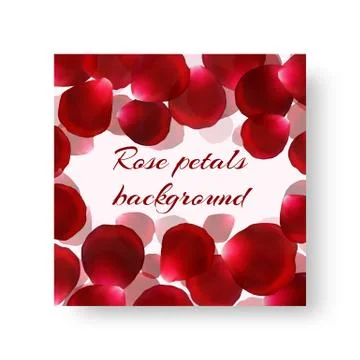 Pattern of brochure with rose petals Stock Illustration