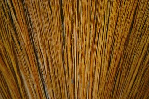 The pattern of broom hairs made from grass flowers at close up Stock Photos