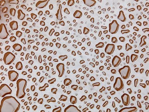 A pattern of brown and white dots, which appear to be raindrops Stock Photos