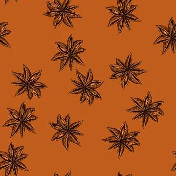 Pattern brown anise star sketch hand drawn Stock Illustration