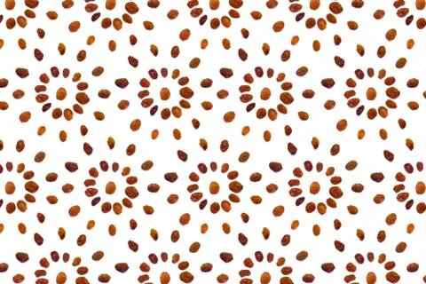 Pattern of brown raisins on a white background in the form of a circle. Conce Foto stock