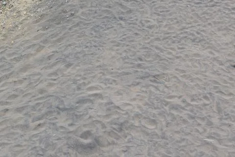 Pattern of brown river sand with trail marks of water wave Stock Photos