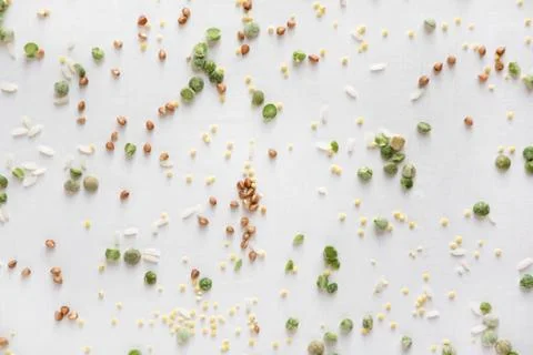Pattern with buckwheat, wheat, peas and rice on a white background. Pattern w Stock Photos