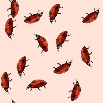 Pattern bug ladybug sketch hand drawn Stock Illustration