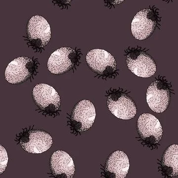 Pattern bug tick sketch hand drawn Stock Illustration