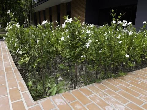 Pattern of building with brickwork for new construction of exterior 스톡 사진