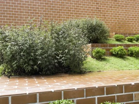 Pattern of building with brickwork for new construction of exterior 스톡 사진
