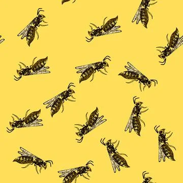 Pattern bumble bee sketch hand drawn Illustrazione stock