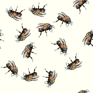 Pattern Bumblebee drawing insect illustration on white background イラスト素材
