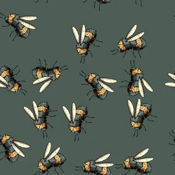 Pattern Bumblebee flying showing furry body and wings Illustrazione stock