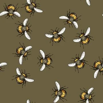 Pattern Bumblebee insect drawing line art isolated white Stock Illustration