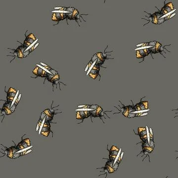Pattern Bumblebee insect hand drawn line art illustration Stock Illustration