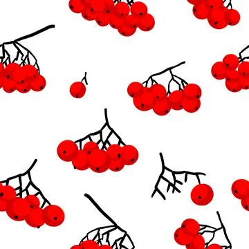 Pattern with bunches of rowan Stock Illustration