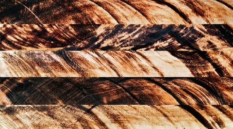 Pattern of burn wood cut background Fotos Stock