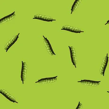 Pattern butterfly caterpillar sketch hand drawn 库存插图