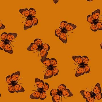 Pattern butterfly sketch hand drawn Stock Illustration