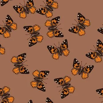 Pattern butterfly sketch hand drawn Stock Illustration