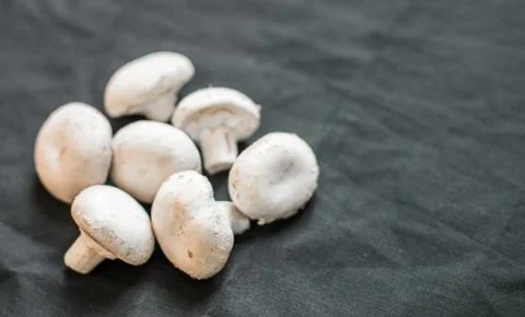Pattern of button mushrooms against black background Stock Photos