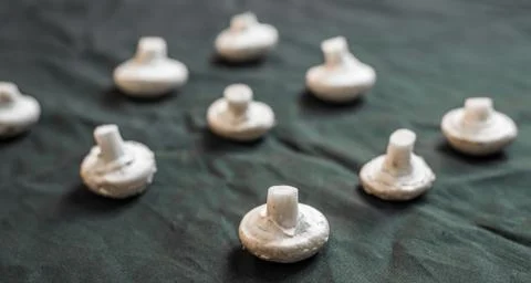 Pattern of button mushrooms against black background Stock Photos