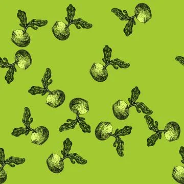 Pattern cabbage kohlrabi green sketch hand drawn Stock Illustration