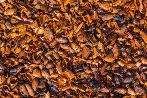 Pattern of cacao shells in closeup, popular aromatic garden ground covering a Stock Photos