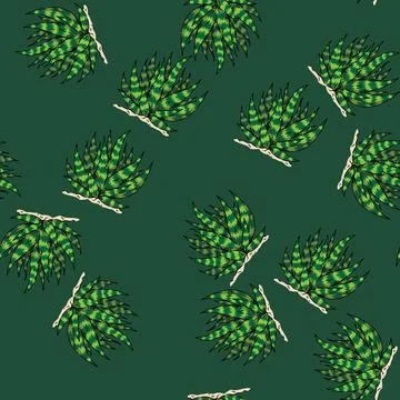 Pattern cactus aloe sketch hand drawn 스톡 일러스트