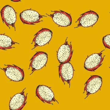 Pattern cactus dragon fruit sketch hand drawn Stock Illustration