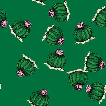 Pattern cactus flower sketch hand drawn 库存插图